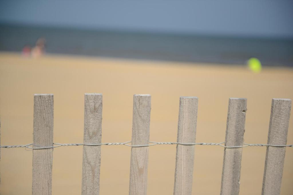 Beach House Dewey Dewey Beach Esterno foto